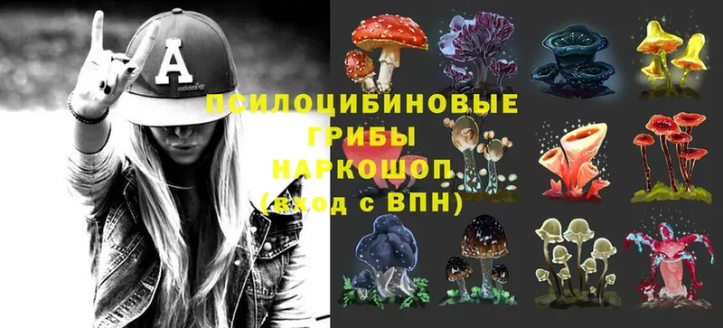 МЕГА маркетплейс  Далматово  Галлюциногенные грибы Psilocybine cubensis  продажа наркотиков 